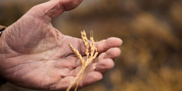 House Passes Farm Bill After Republican Infighting