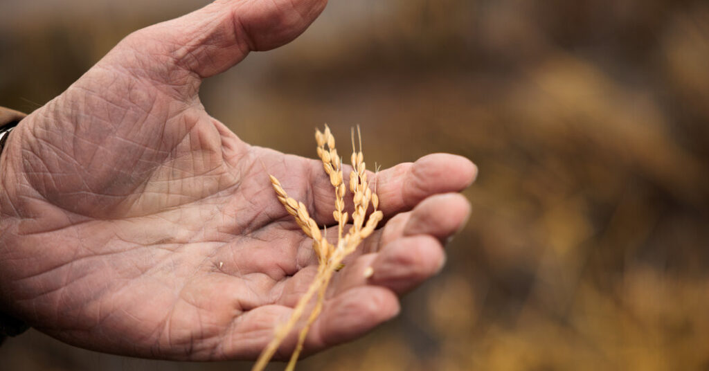 House Passes Farm Bill After Republican Infighting