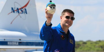 An Adorable Stowaway Is Aboard NASA’s Artemis II Mission to the Moon