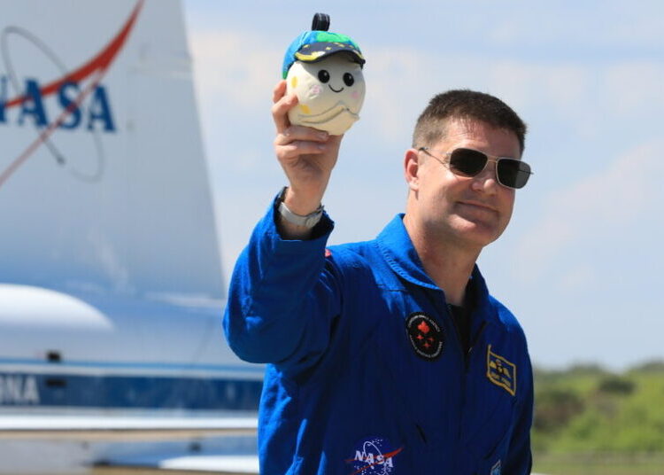 An Adorable Stowaway Is Aboard NASA’s Artemis II Mission to the Moon