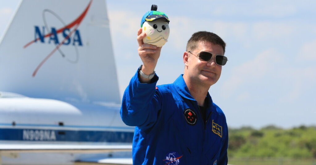 An Adorable Stowaway Is Aboard NASA’s Artemis II Mission to the Moon