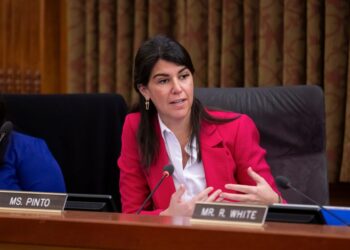 D.C. delegate race erupts as Pinto posts dossier on rival White