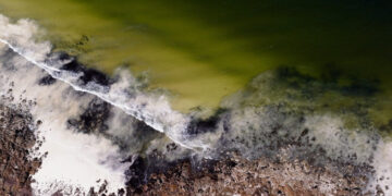 An Underwater Phantom Is Killing Fish and Breaking Hearts