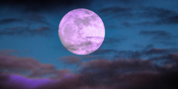 4 Questions to Ask Yourself Under Tonight’s Full Pink Moon