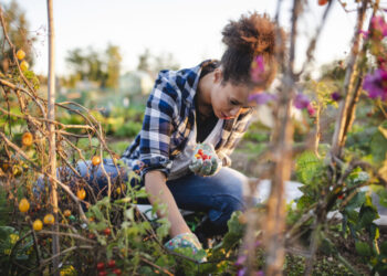 This simple springtime activity may help keep you mentally sharp