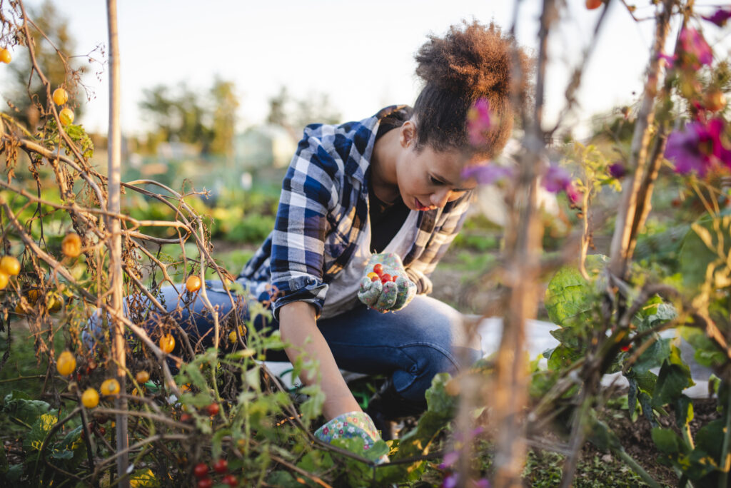 This simple springtime activity may help keep you mentally sharp