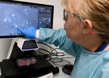 Why these treatments for one of the deadliest cancers are stirring such hope