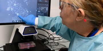 Why these treatments for one of the deadliest cancers are stirring such hope