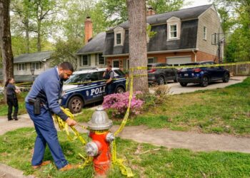 D.C. aims to counter rise in domestic violence amid spate of high-profile cases