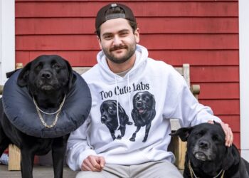 He joked about turning his dogs into billboards. Business is booming.