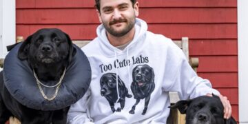 He joked about turning his dogs into billboards. Business is booming.