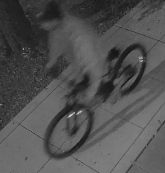 Security camera footage of a person on a bicycle, blurred from motion.