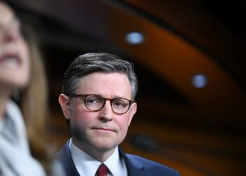 Speaker Johnson calls for redistricting Southern states before November