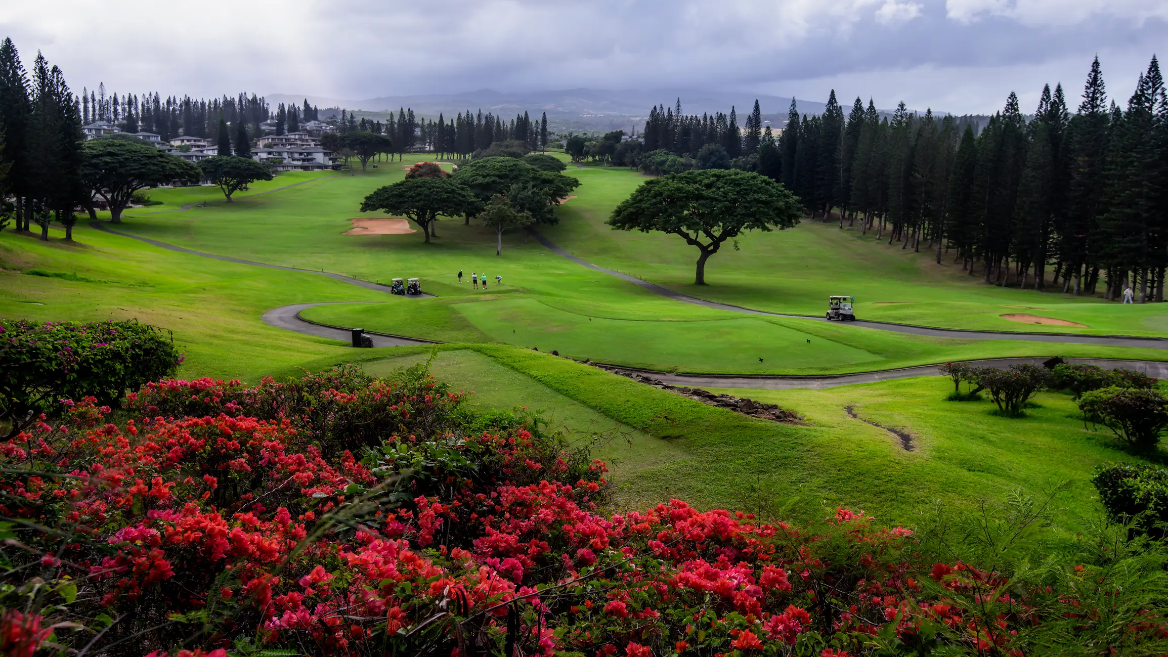 Golf course with flowers growing by edge