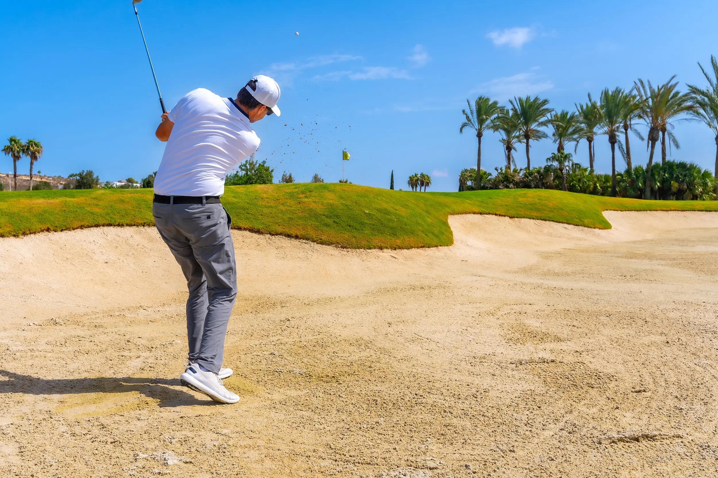 Man golfing on golf course with palm trees.