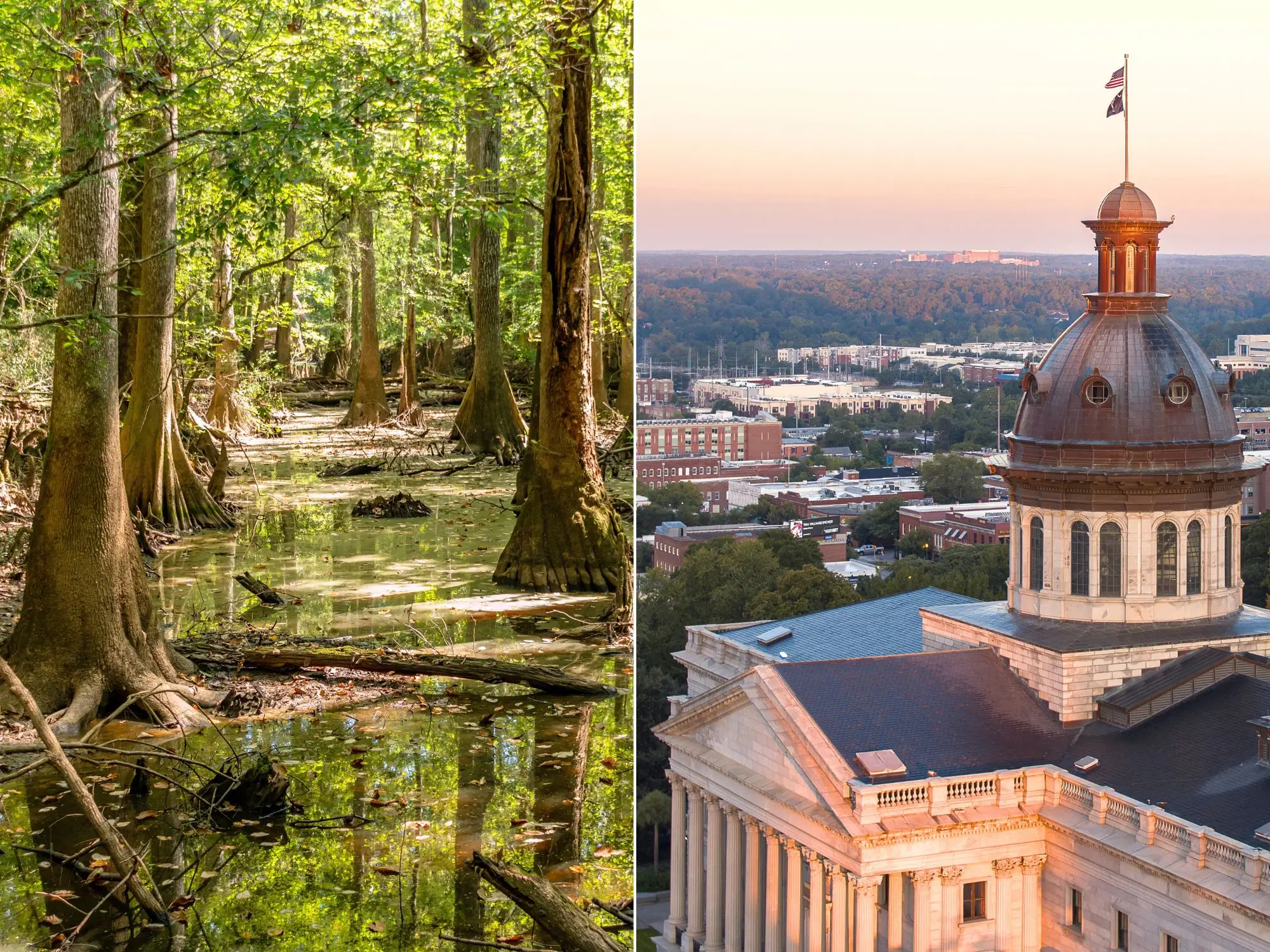 Two images: Left: Tall trees stem out of a swampy river Through Congaree Forest in South Carolina. Right: State House Dome with flags rising above the cityscape in South Carolina during sunset