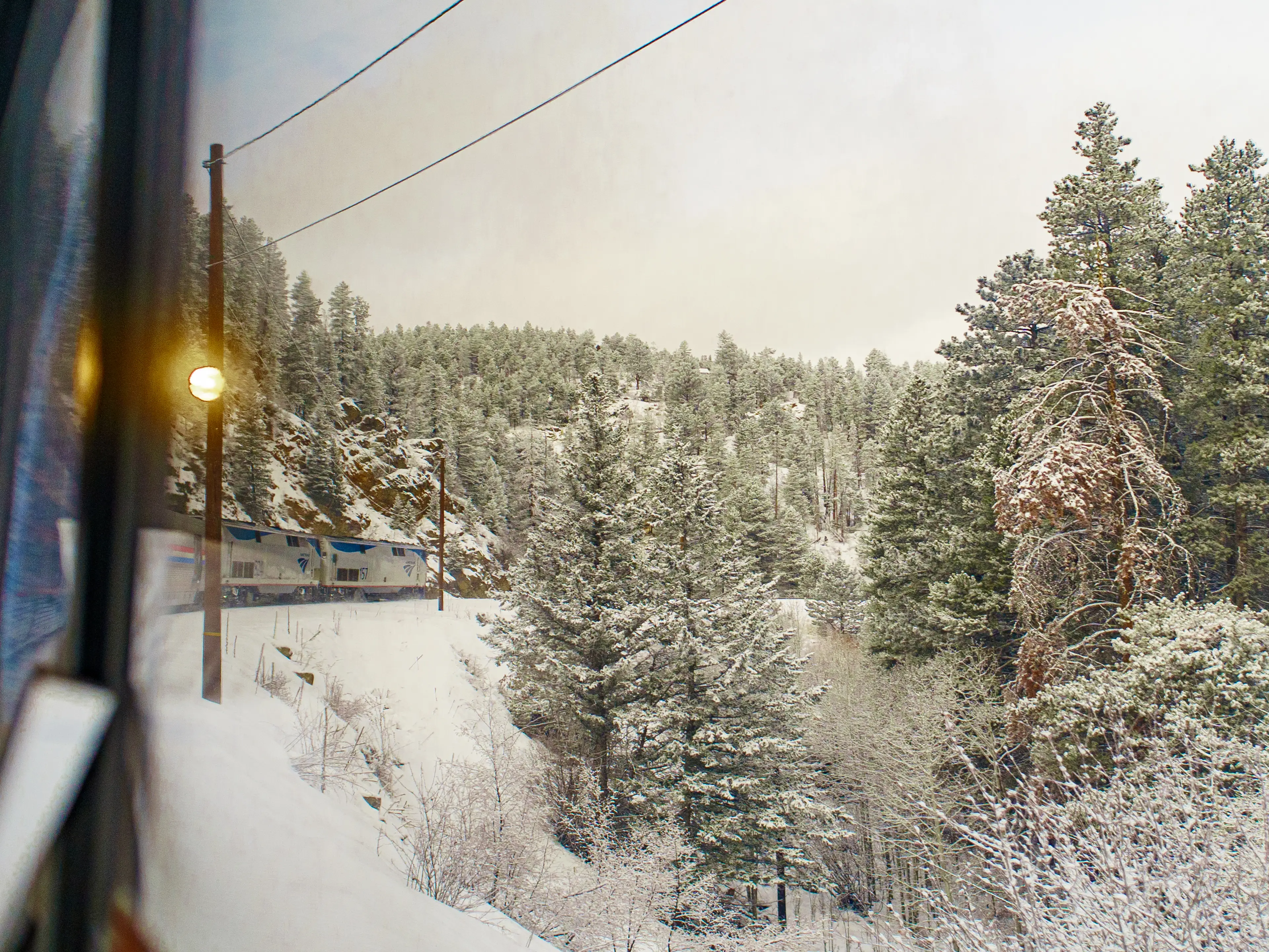 A snowy forest surrounding railroad tracks seen from a train window