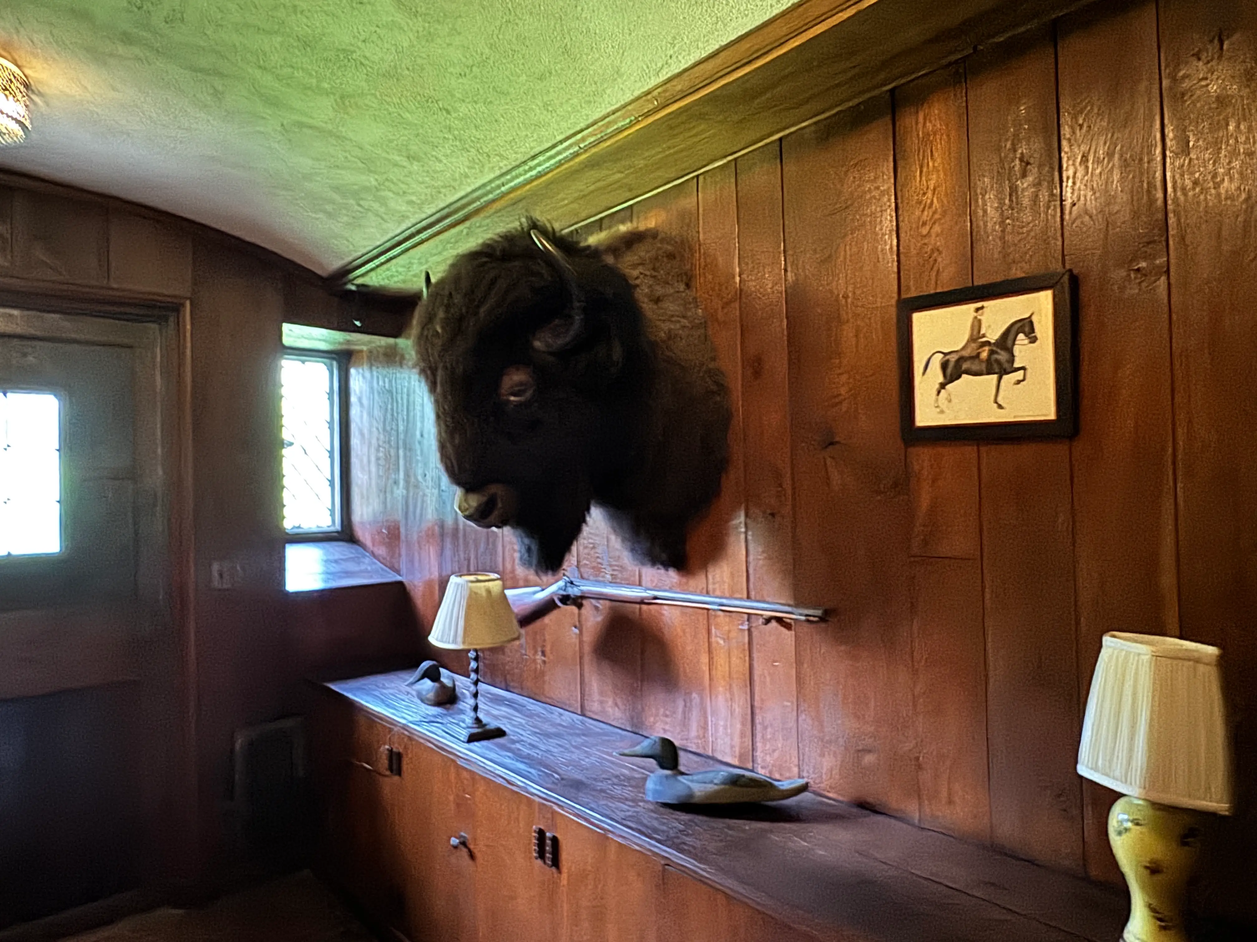 buffalo head coe hall