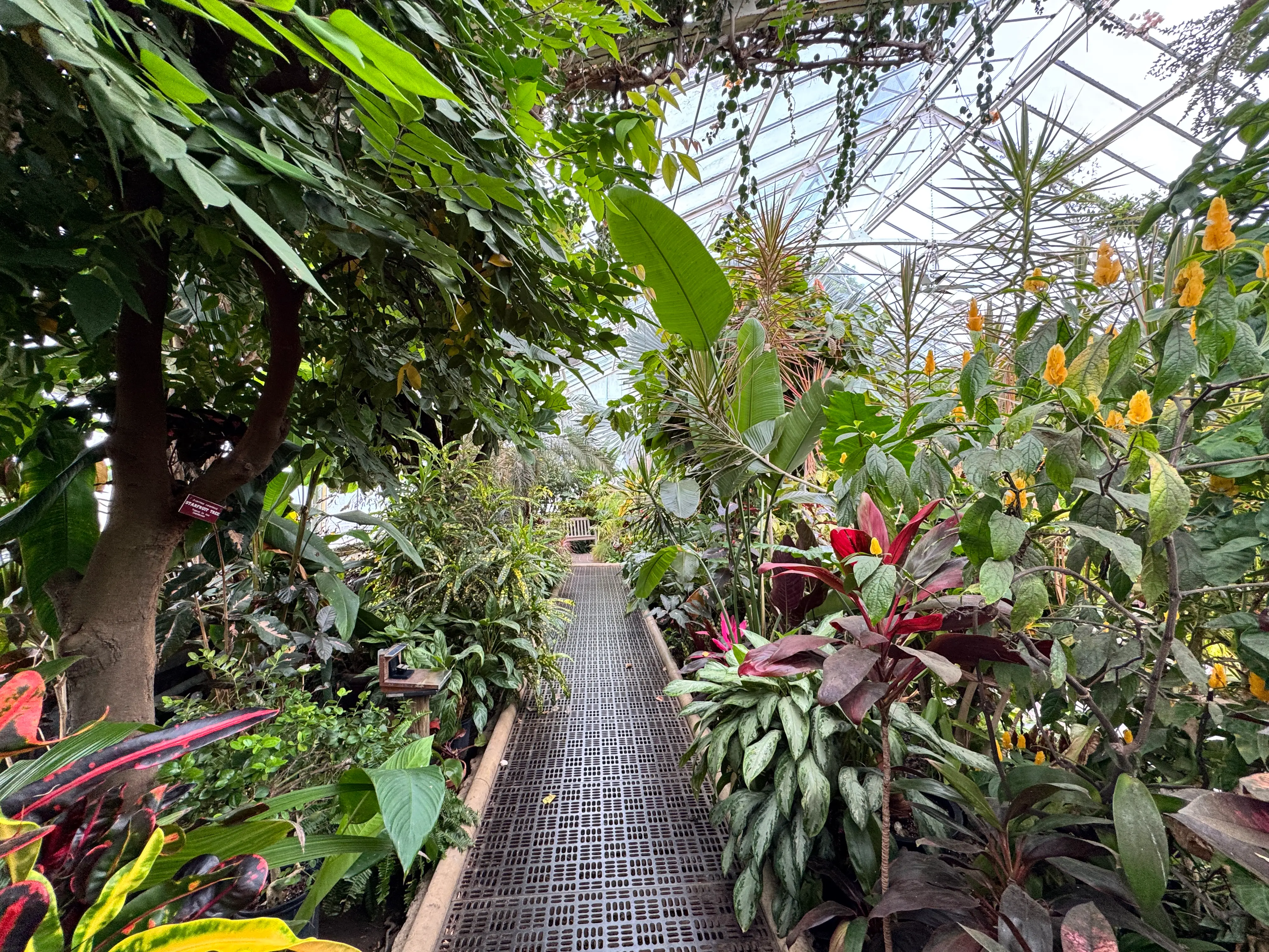 inside main greenhouse coe hall