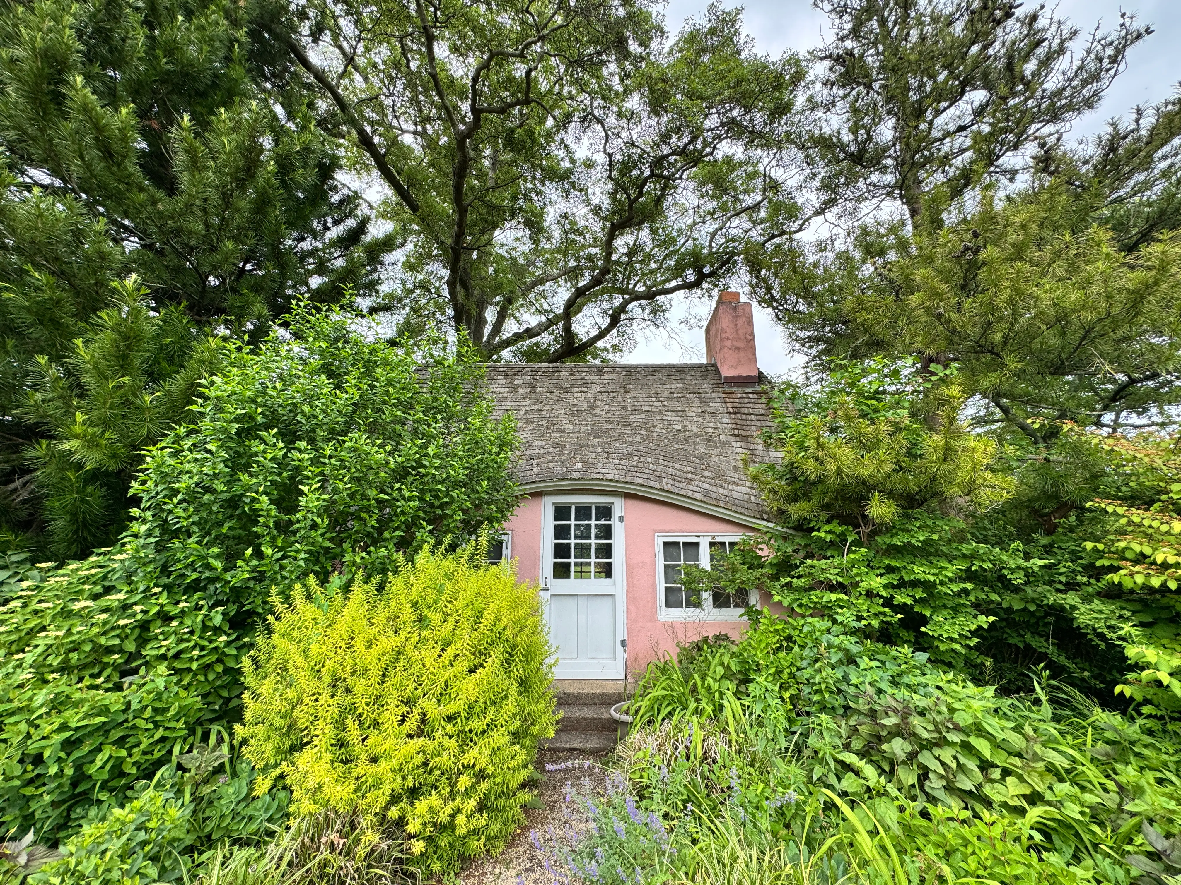 exterior of playhouse coe hall
