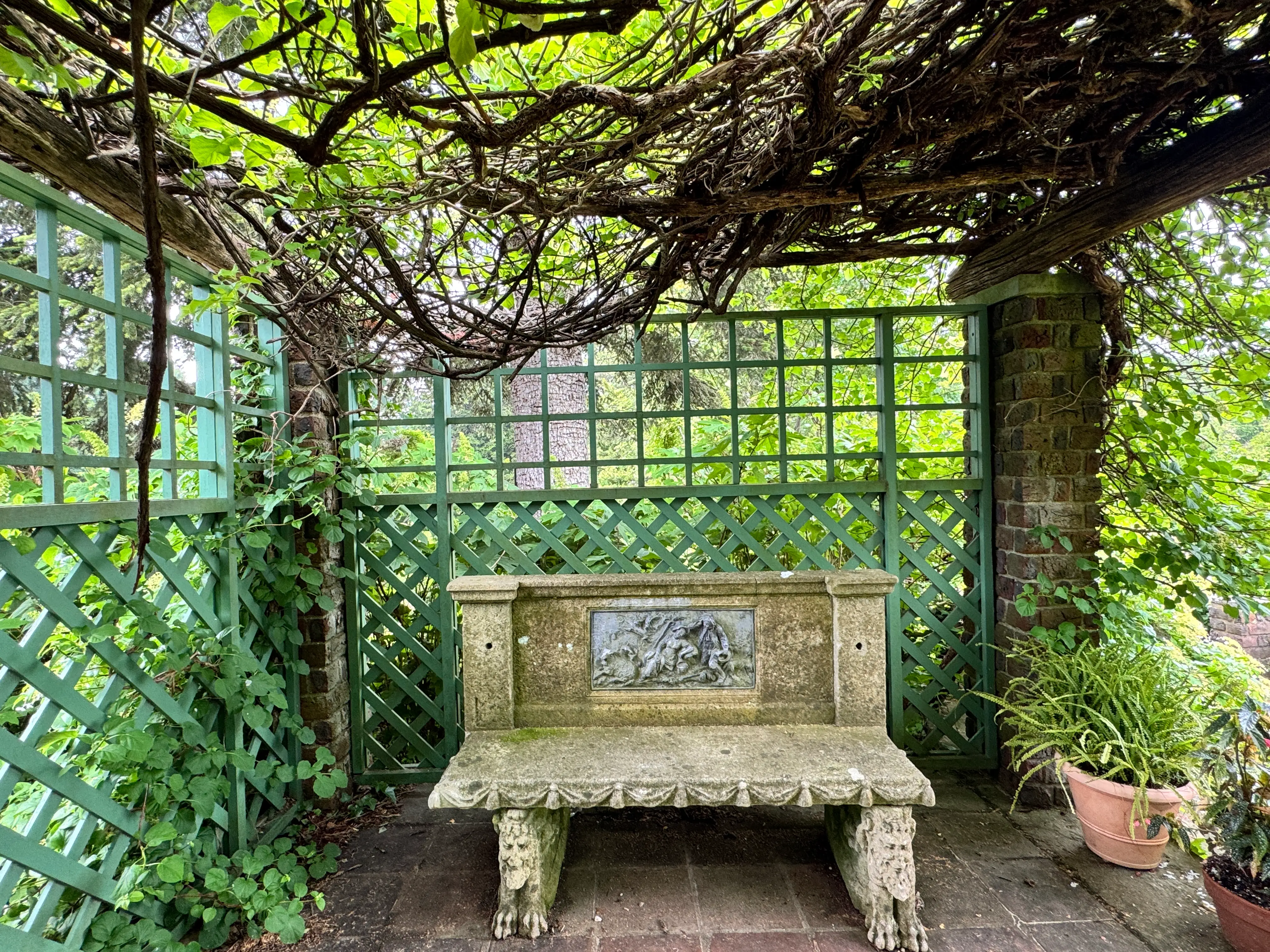 bench on side of tea house coe hall