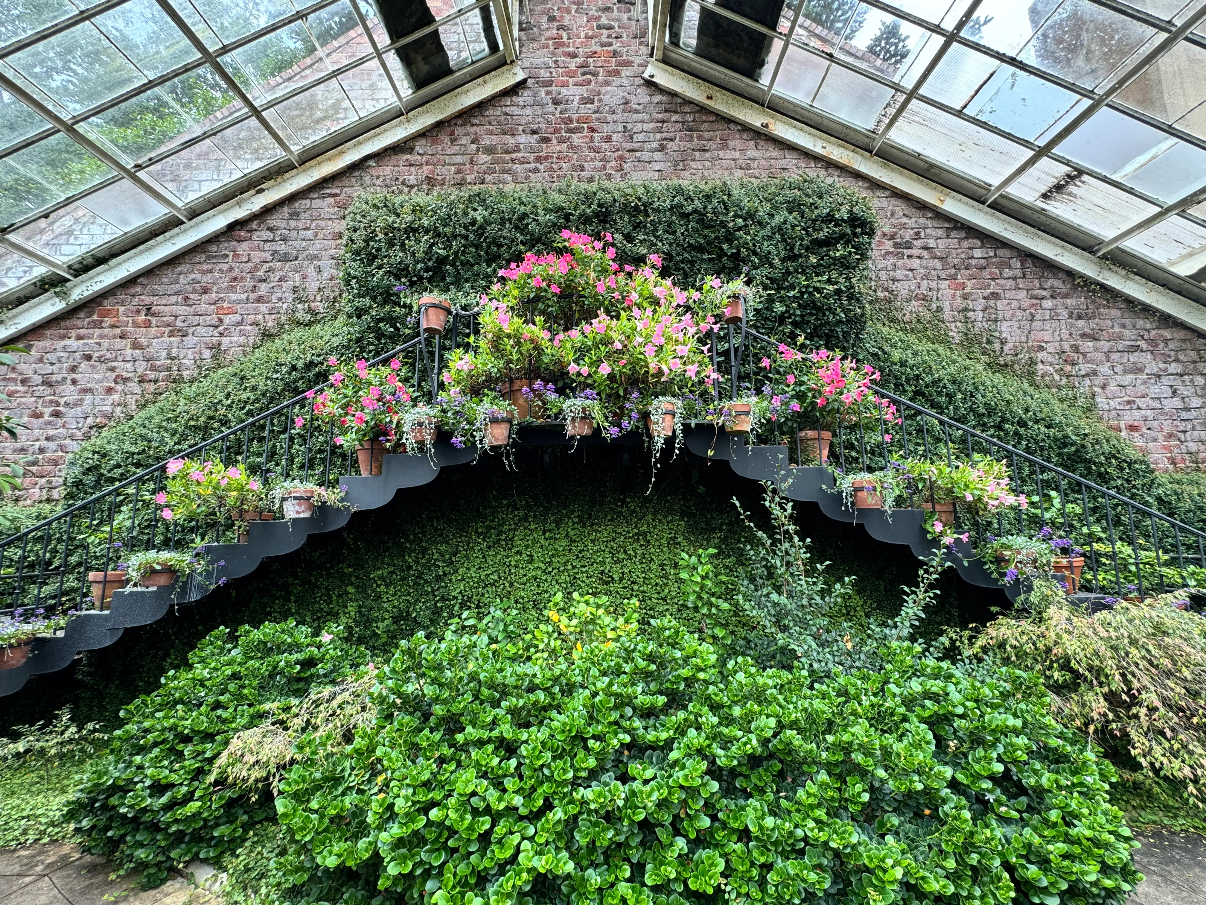 camellia greenhouse coe hall