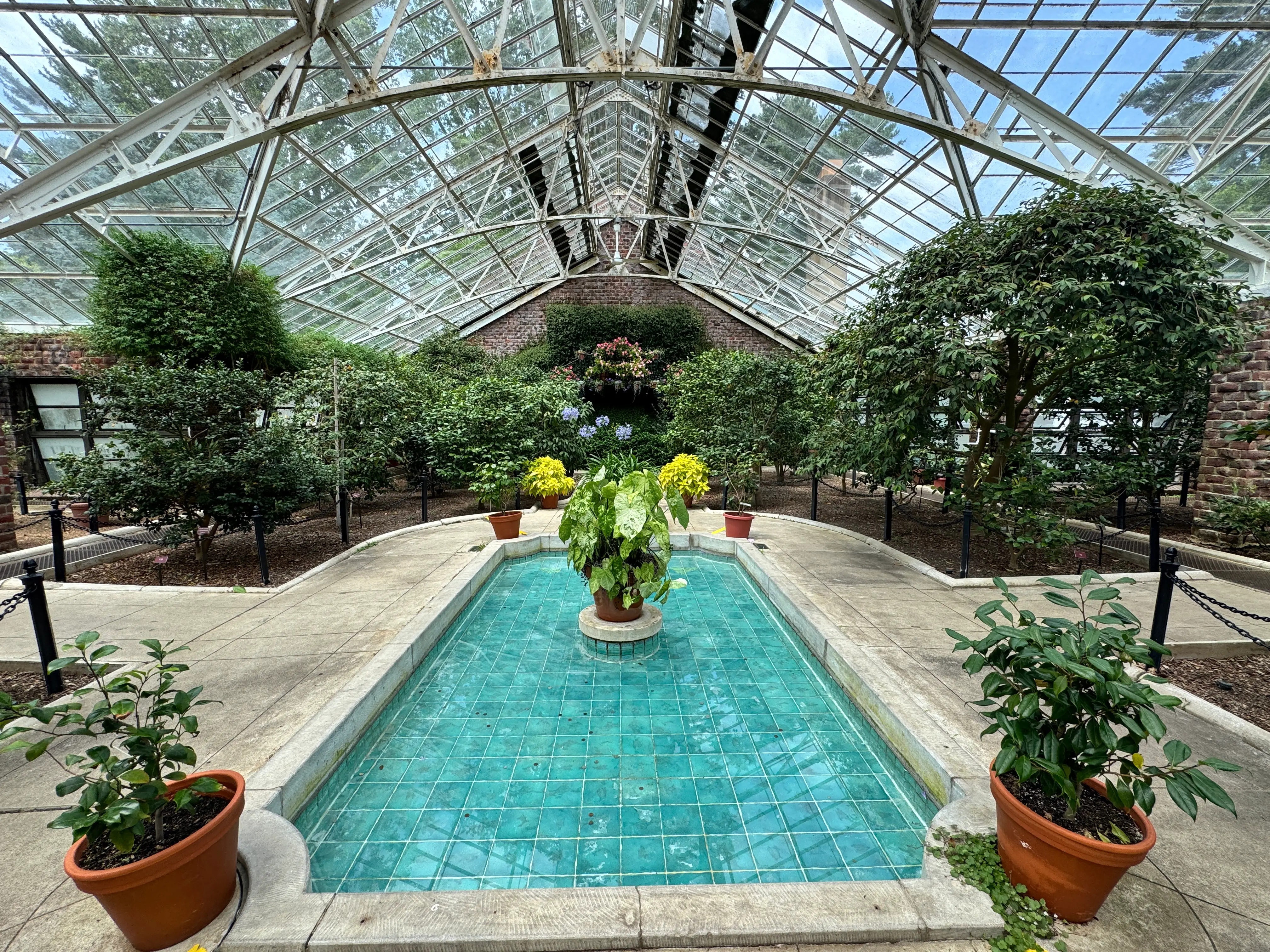 camellia greenhouse coe hall