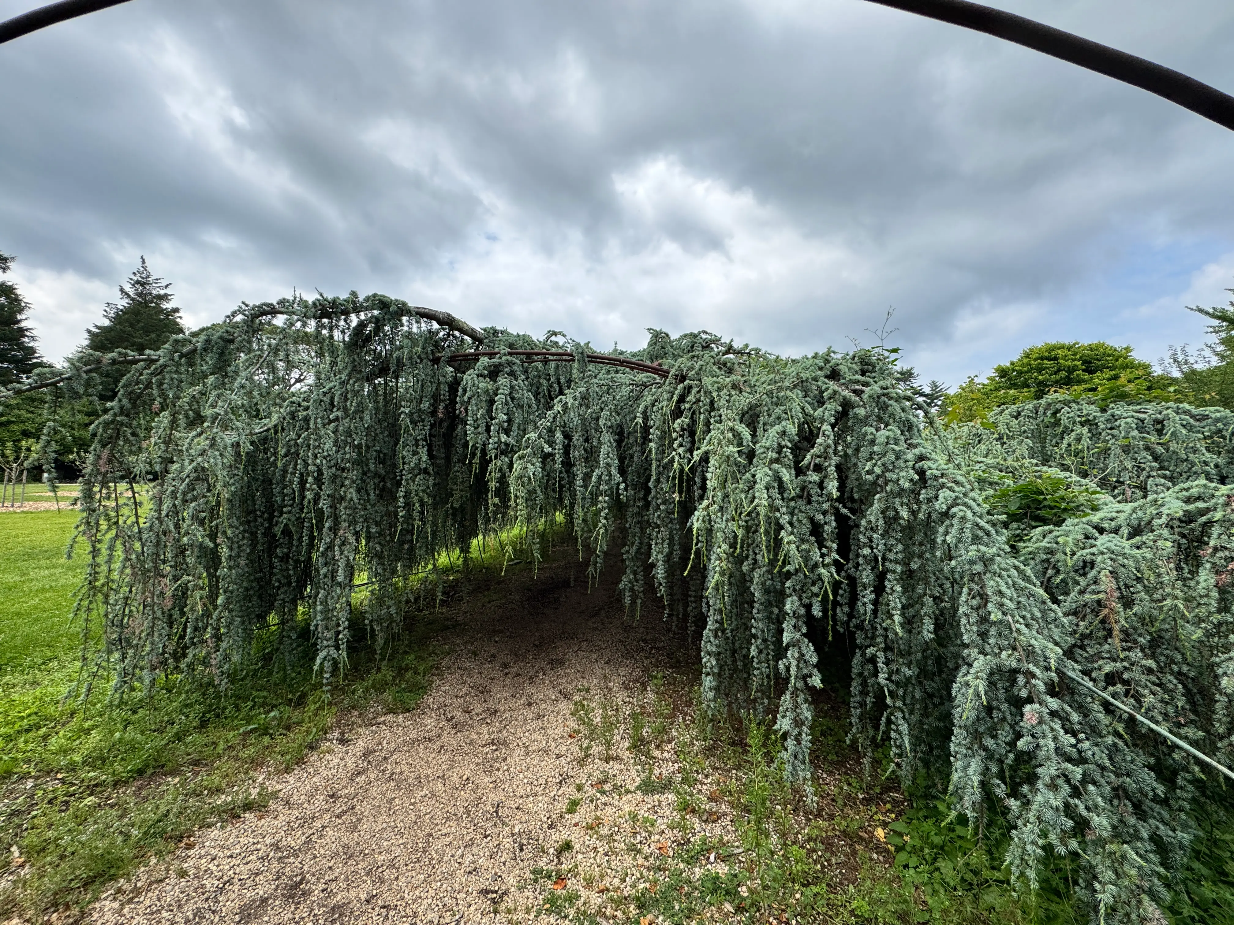 archway to get to main greenhouse