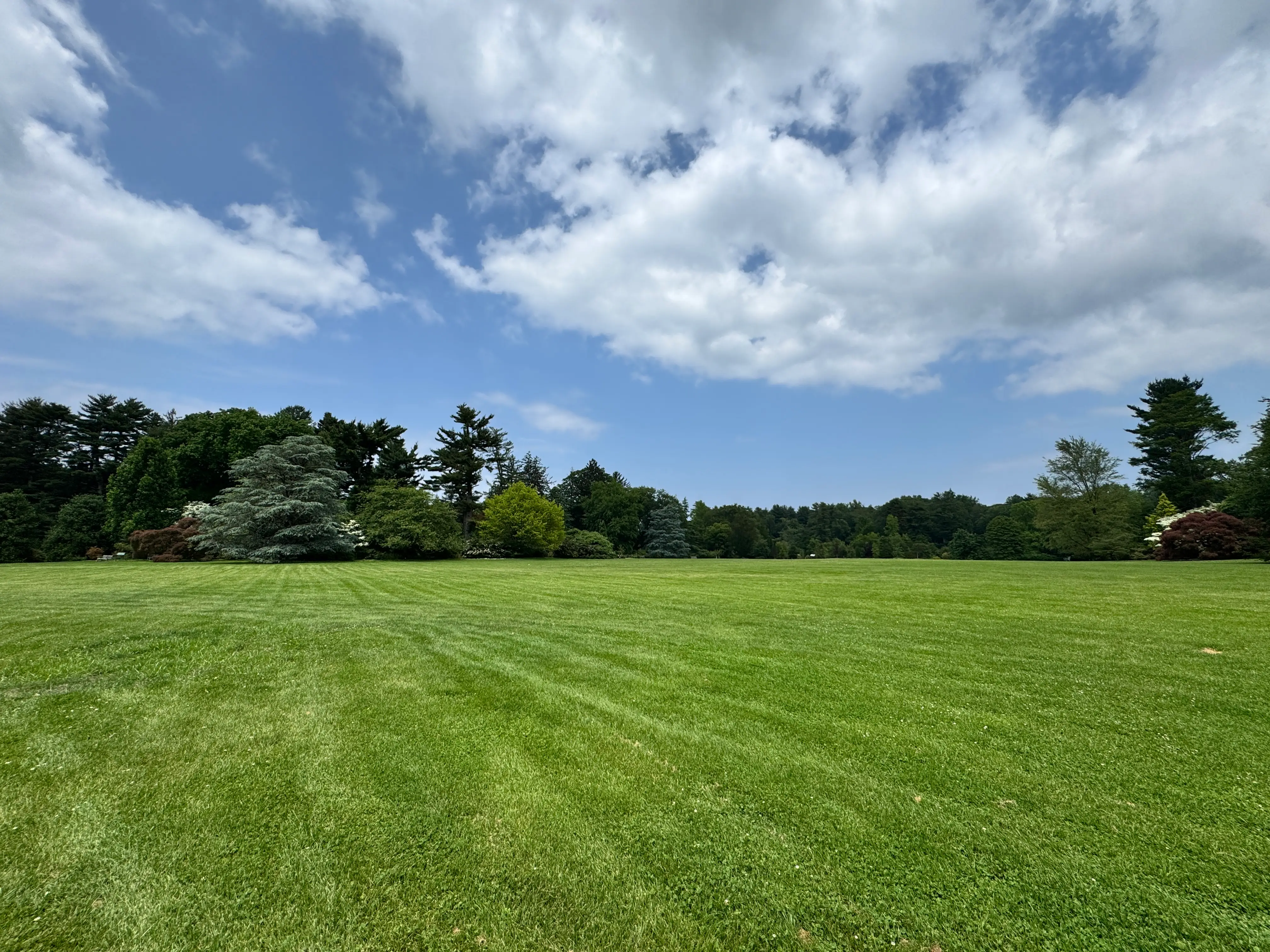 fields at coe hall