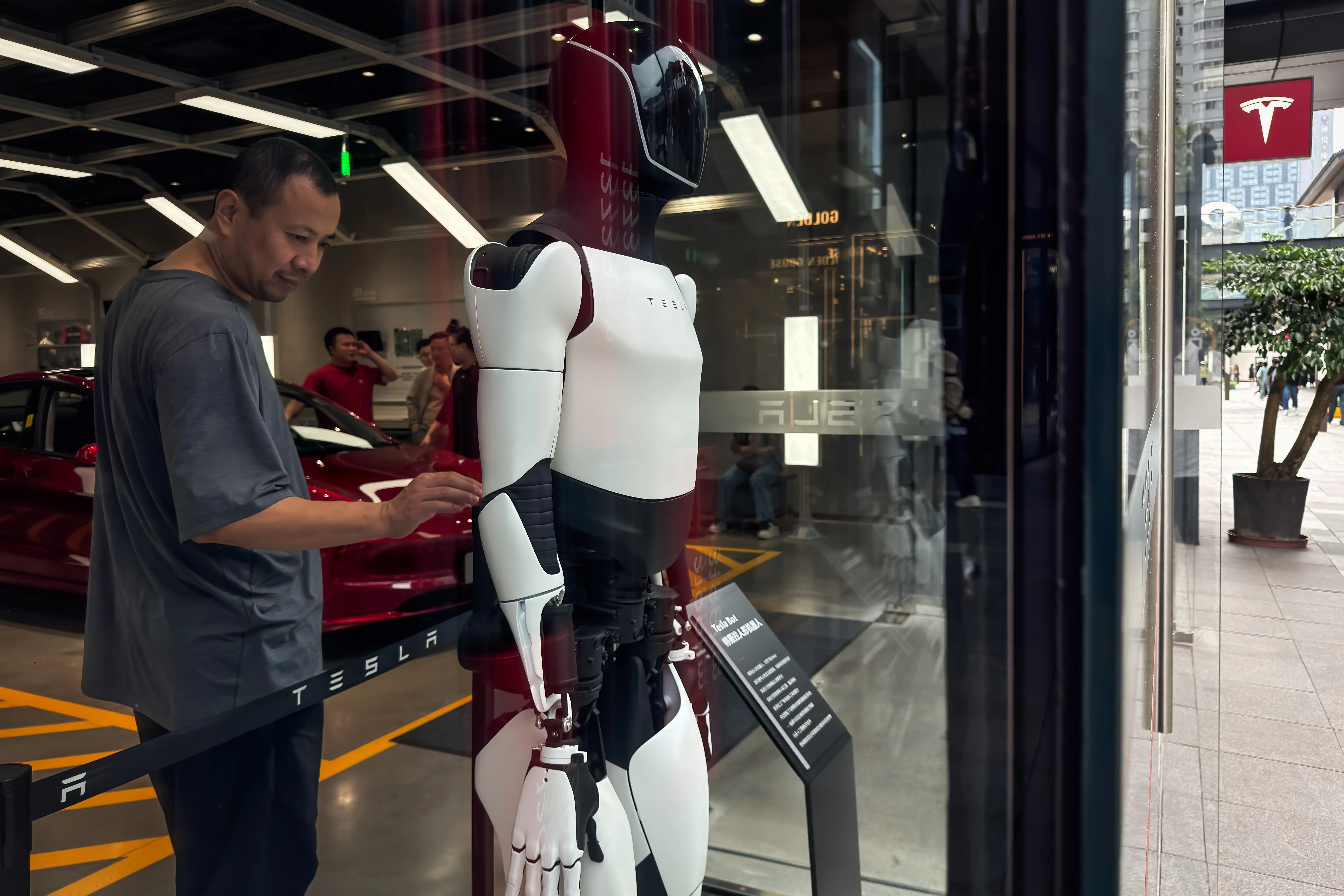 A person reaches toward the back of an Optimus humanoid robot at a Tesla dealership.