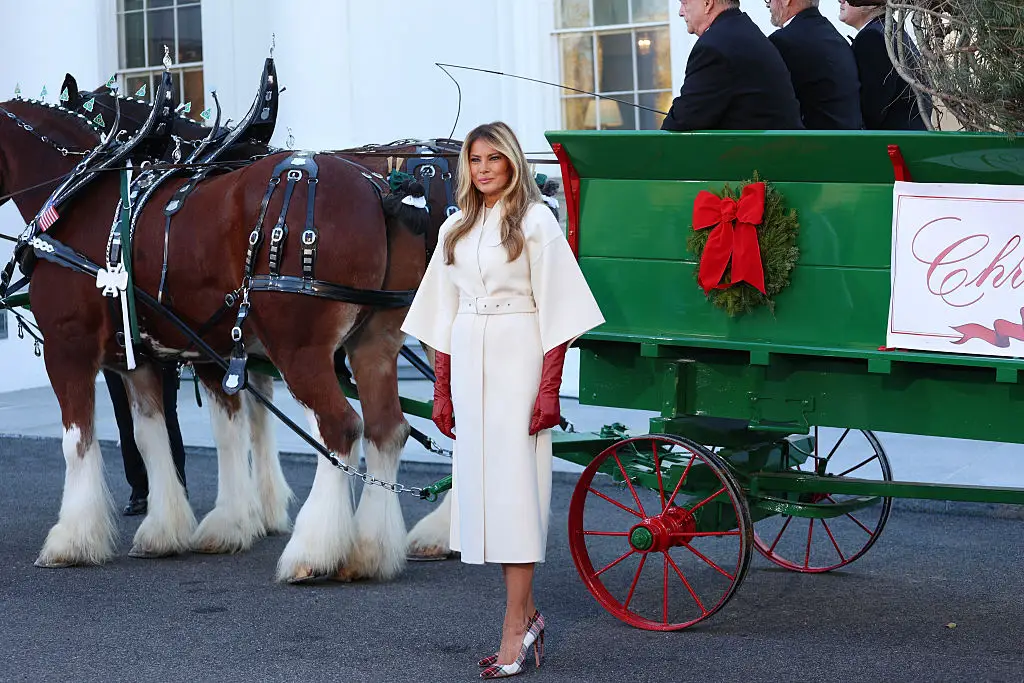 Melania Trump receives the Official White House Christmas Tree.