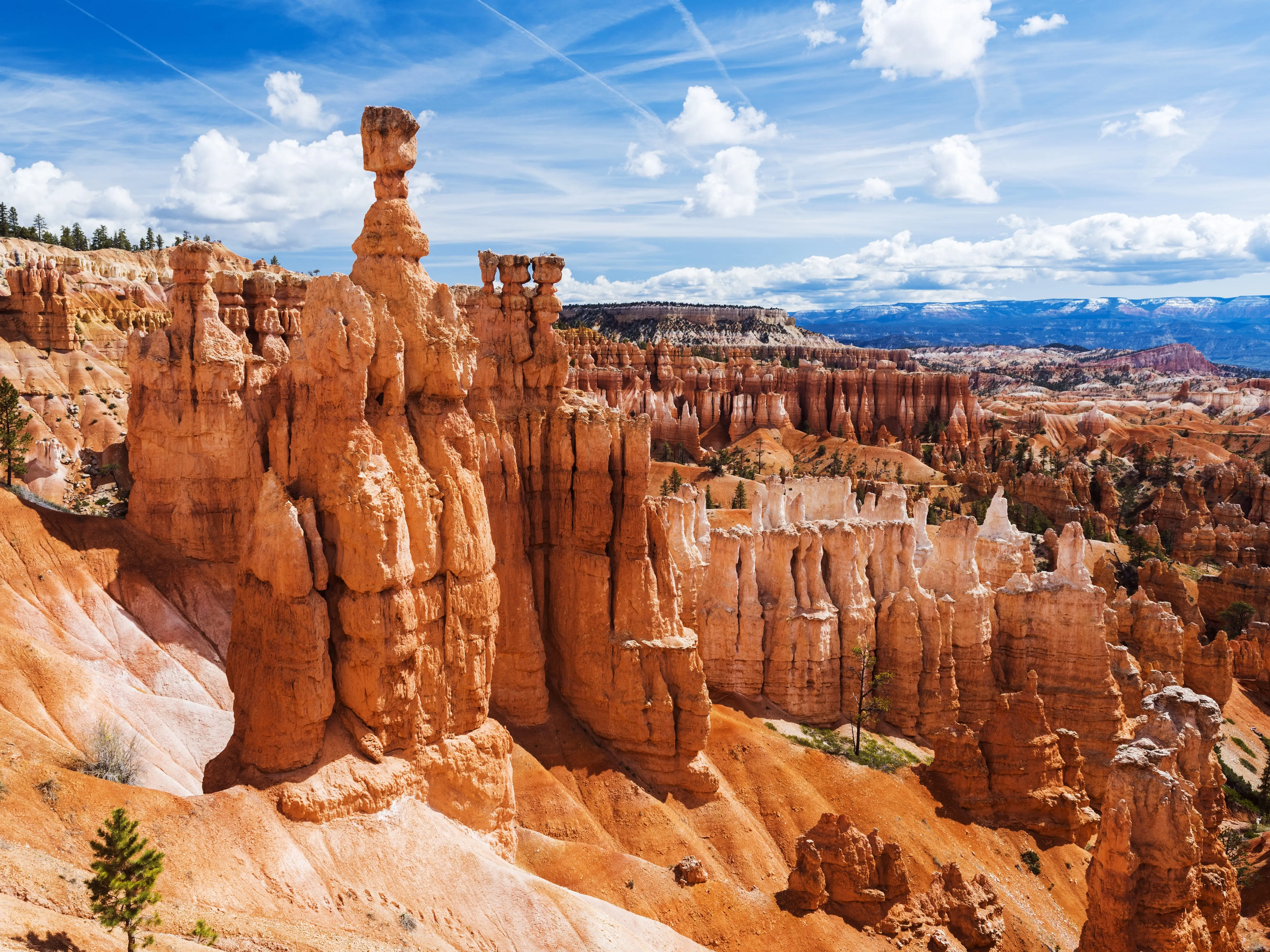 Large hoodoos on a sunny day at Bryce Canyon National Park.