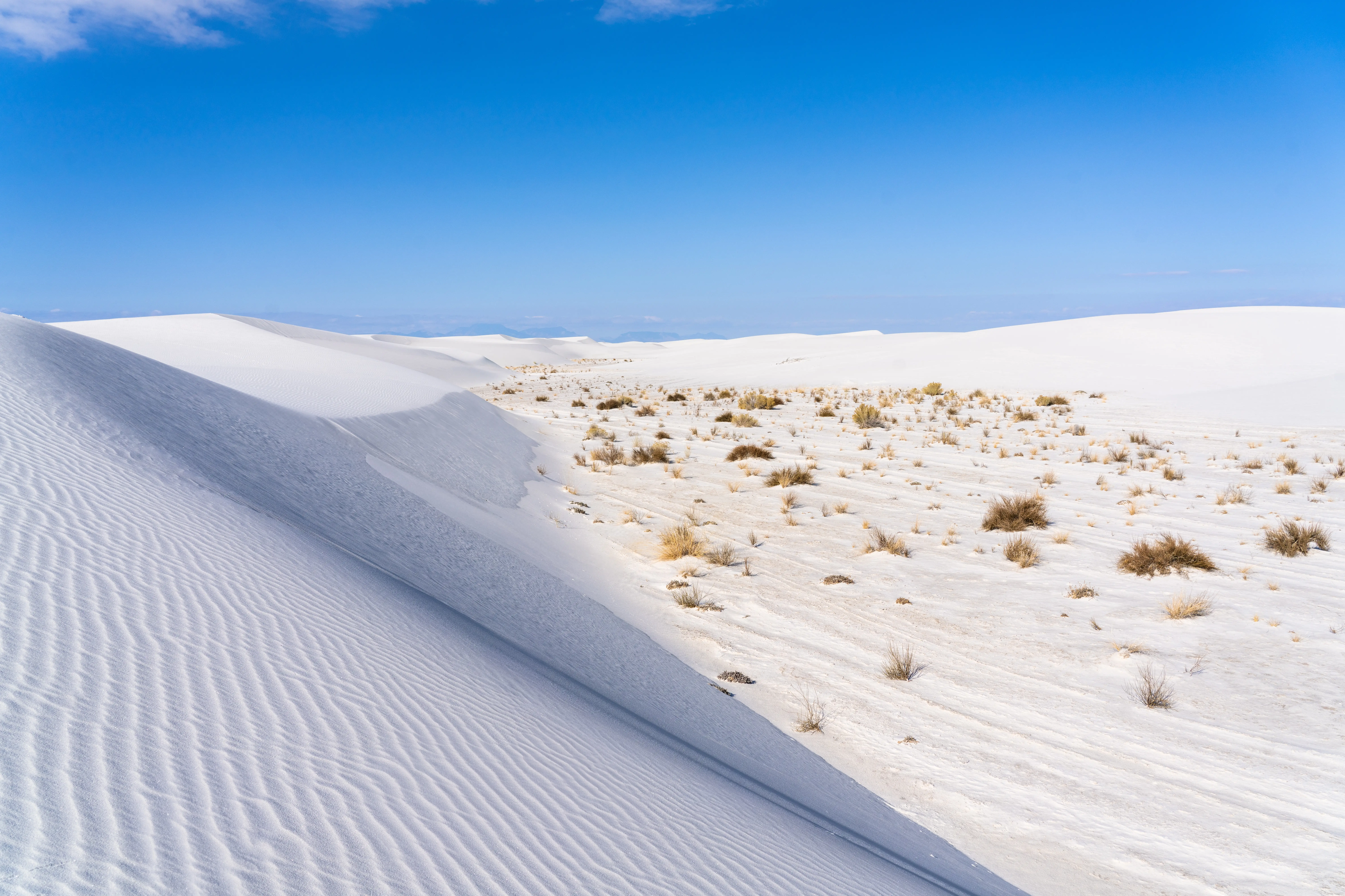 White sand with small grass sticking out at White Sands National Park.