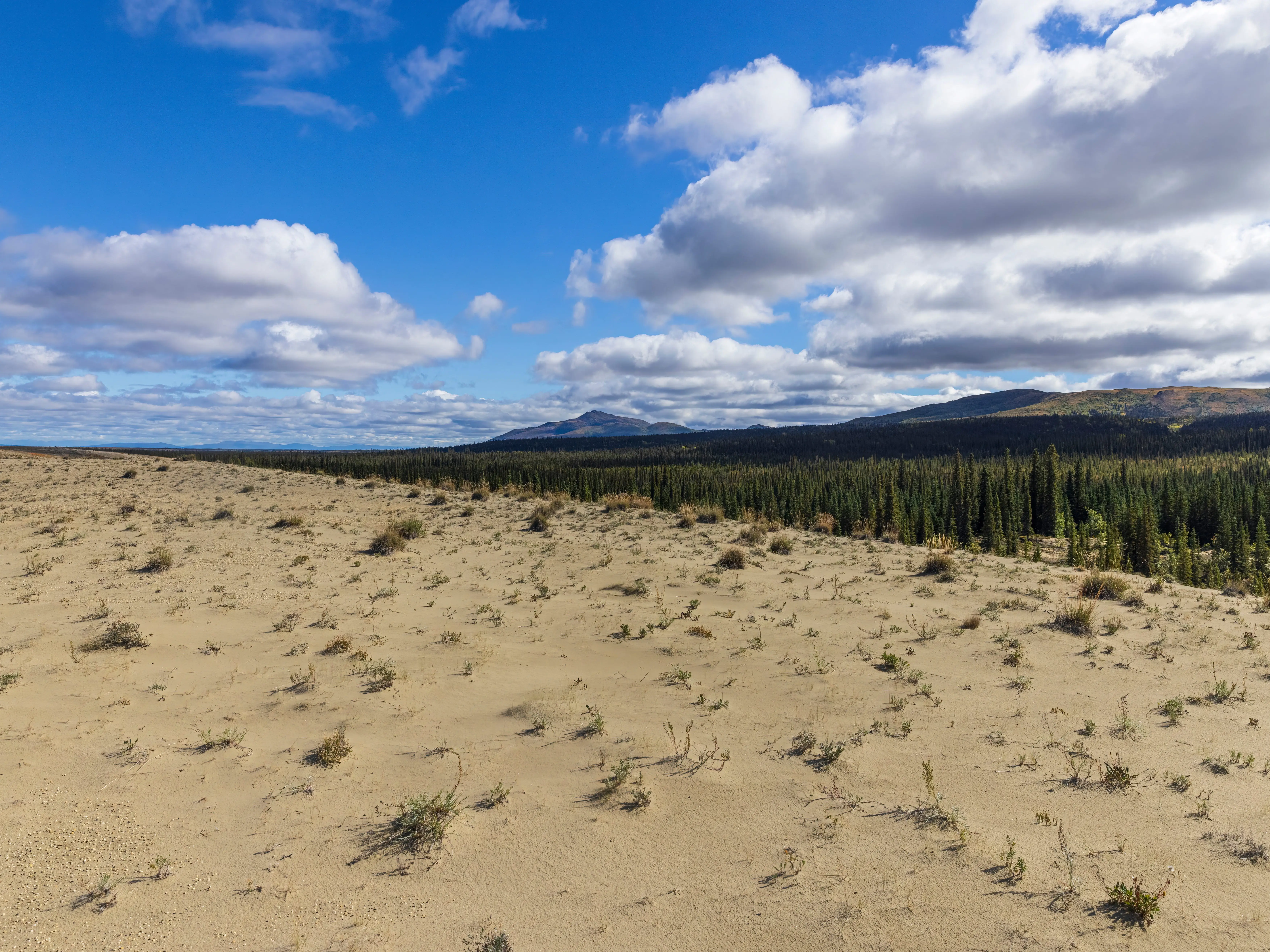 A large sand dune with trees and mountains in the background.