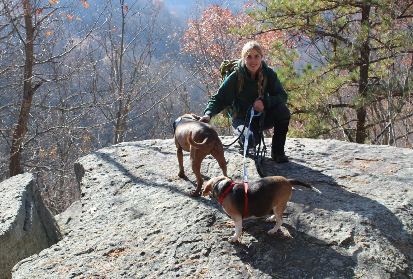 The writer hiking in West Virginia with her dogs.