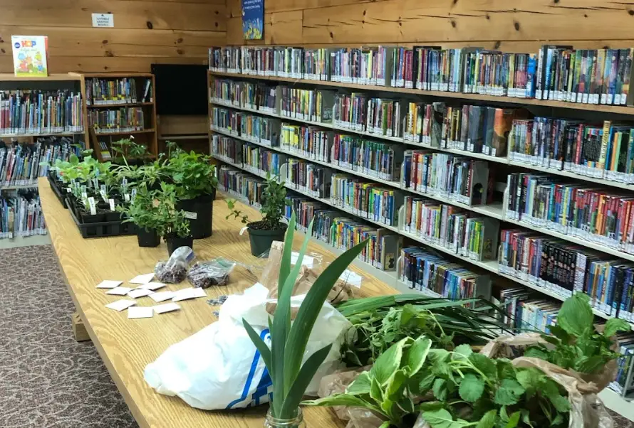 A plant exchange at the writer's local library.