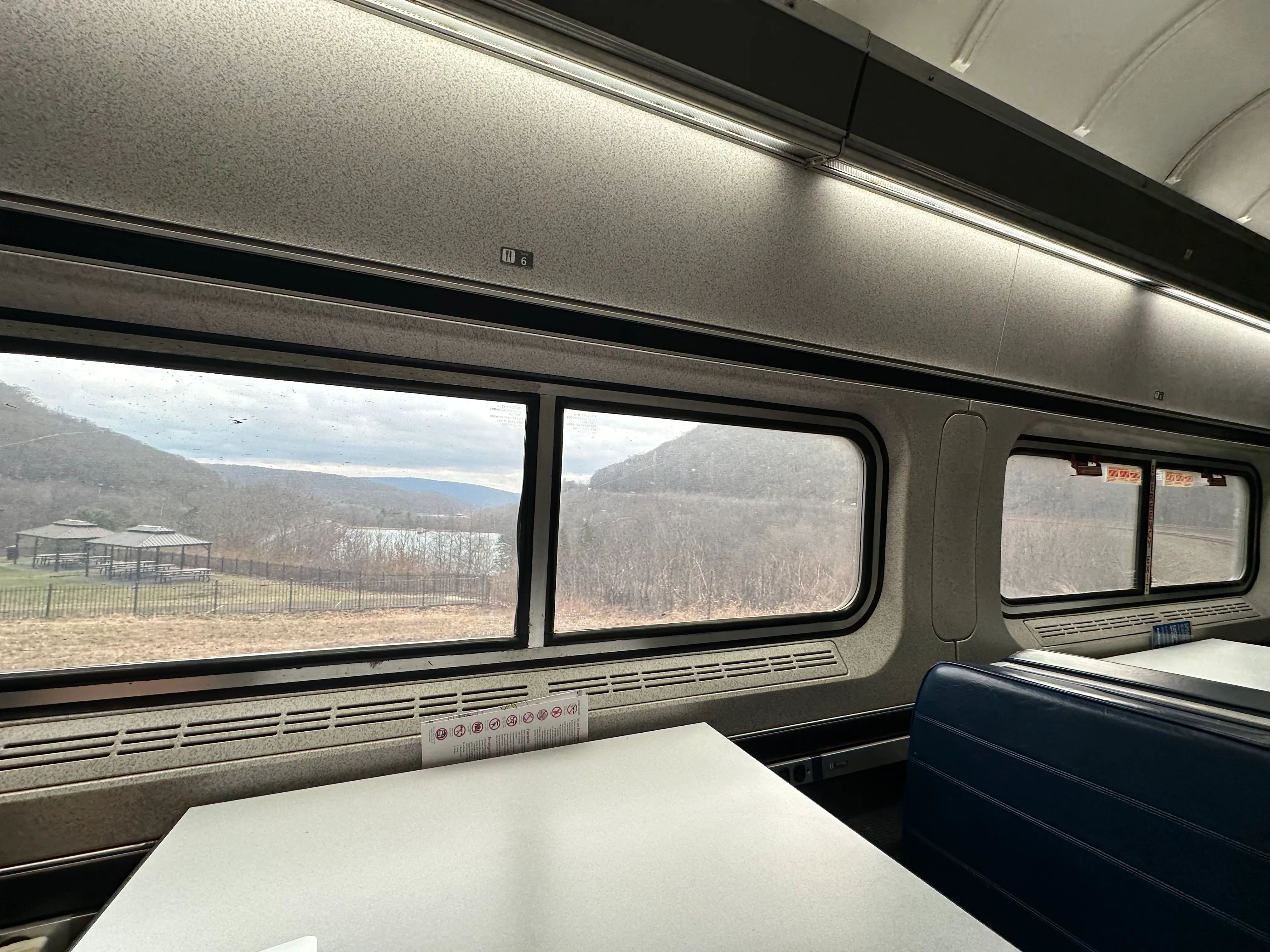 View of trees from Amtrak window in dining car