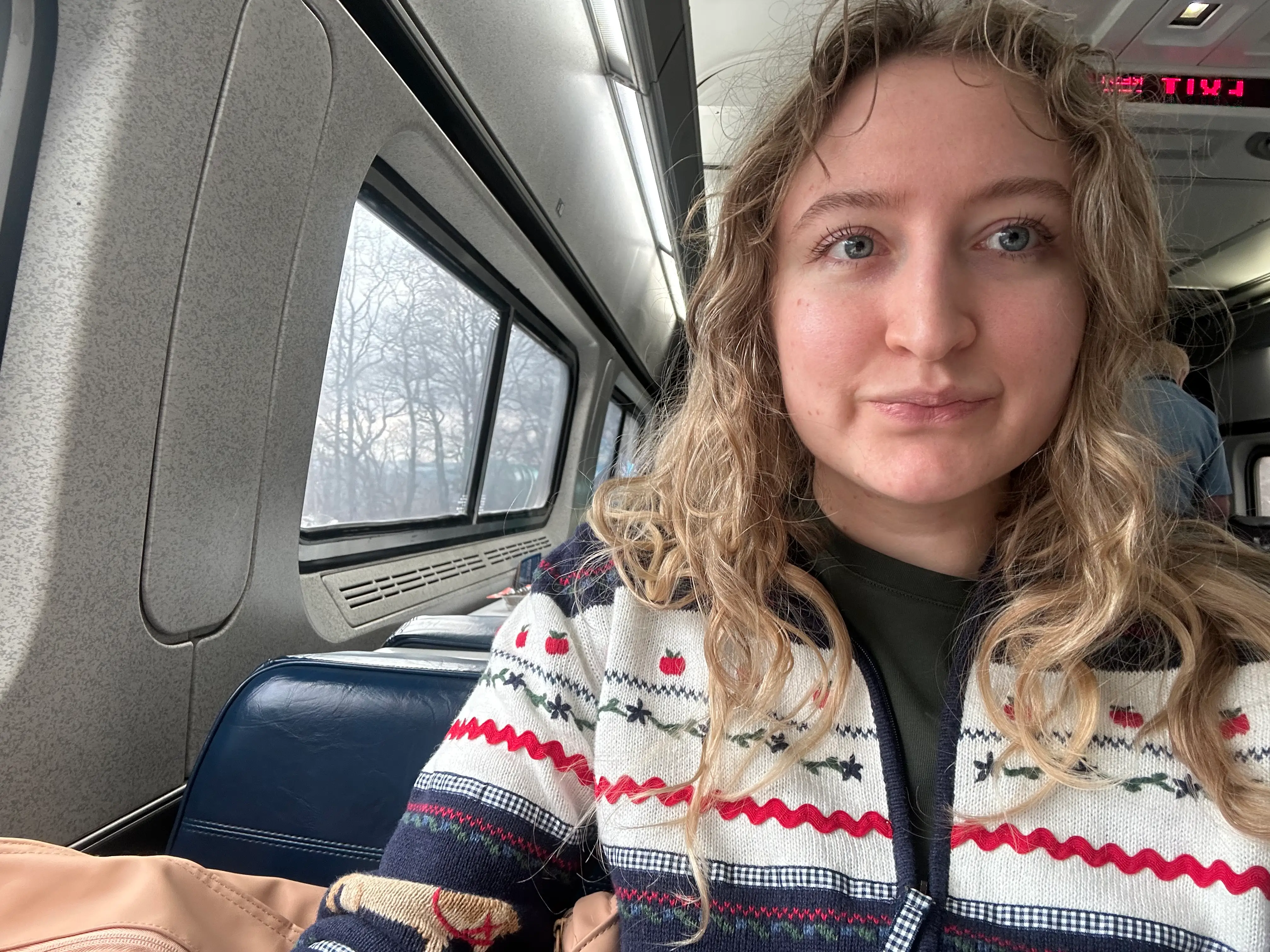 Woman taking selfie on Amtrak train