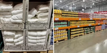 I’ve been a Costco executive member for 11 years. These are the 6 products I’ll always buy there.