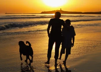 I sent my son to Australia alone when he was 13 so he’d be more independent. Now that he’s an adult, I get advice from him.