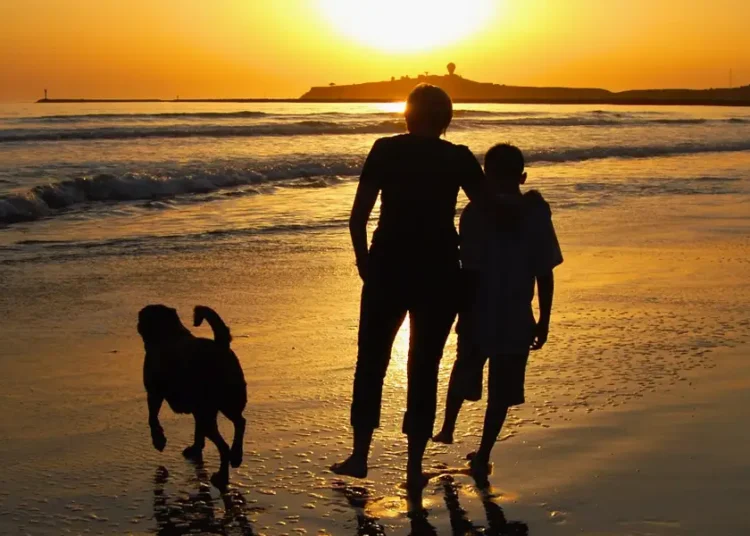 I sent my son to Australia alone when he was 13 so he’d be more independent. Now that he’s an adult, I get advice from him.