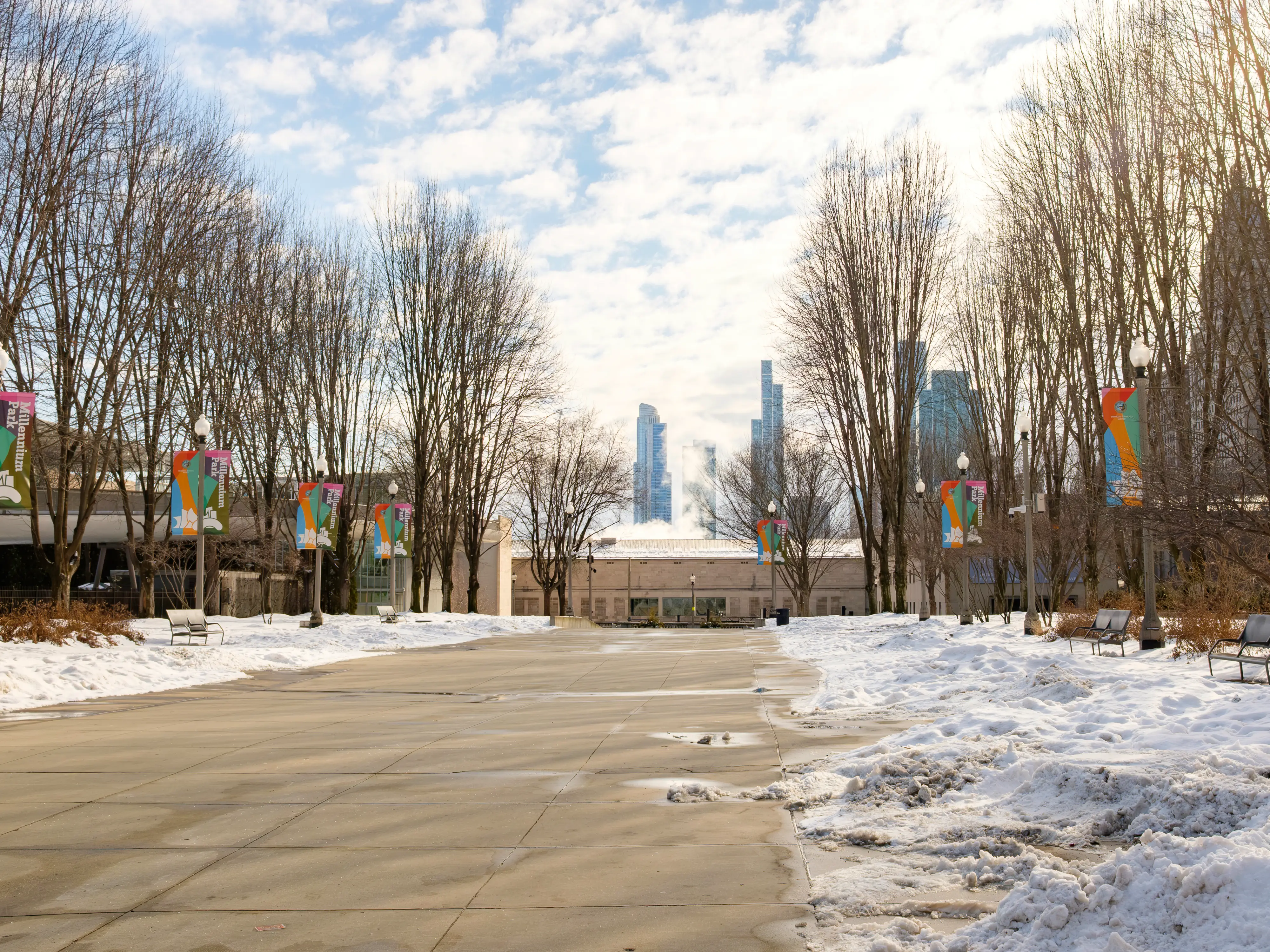 A park in Chicago with snow and trees lining either side of a concrete path and buildings in the background