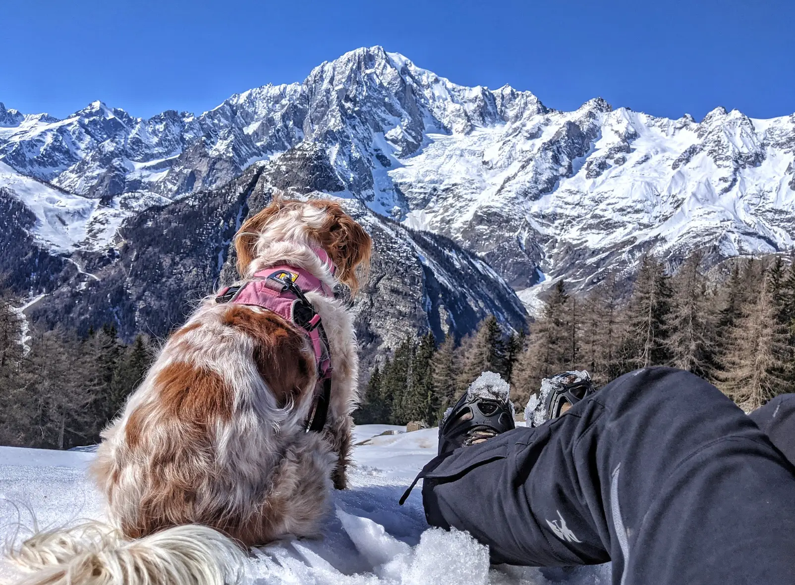 The writer and her dog sitting in the snow, looking out at a snow-capped mountain in the Alps.