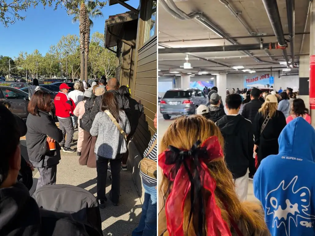 Bhattacharyya took pictures of the queue outside Trader Joe's when she was in line for the lavender tote.