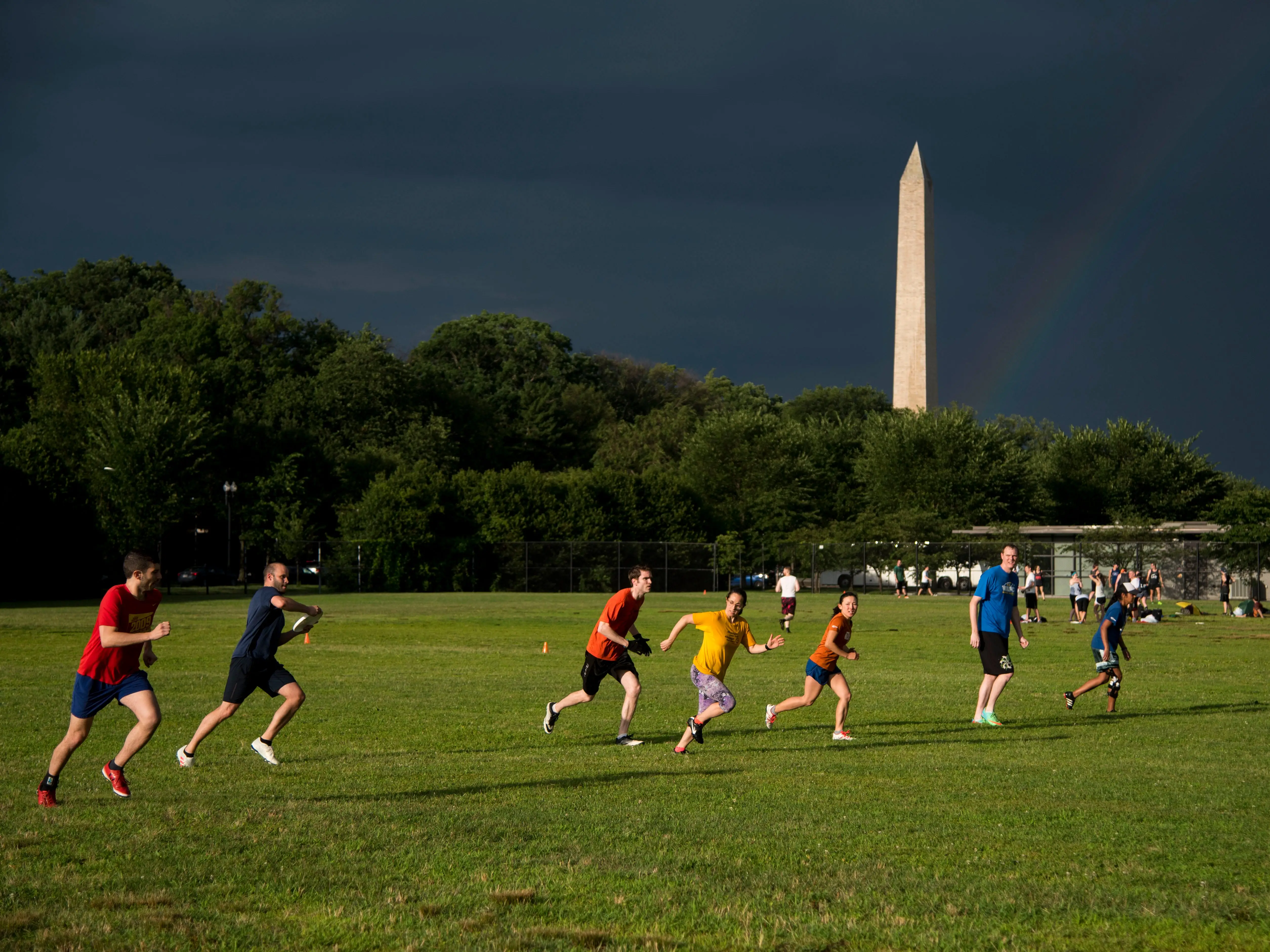 The Washington Area Frisbee Club 