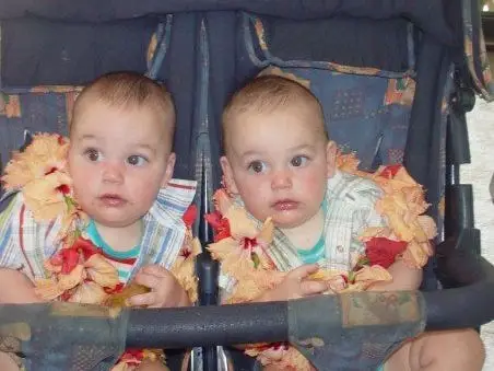 Babies in stroller