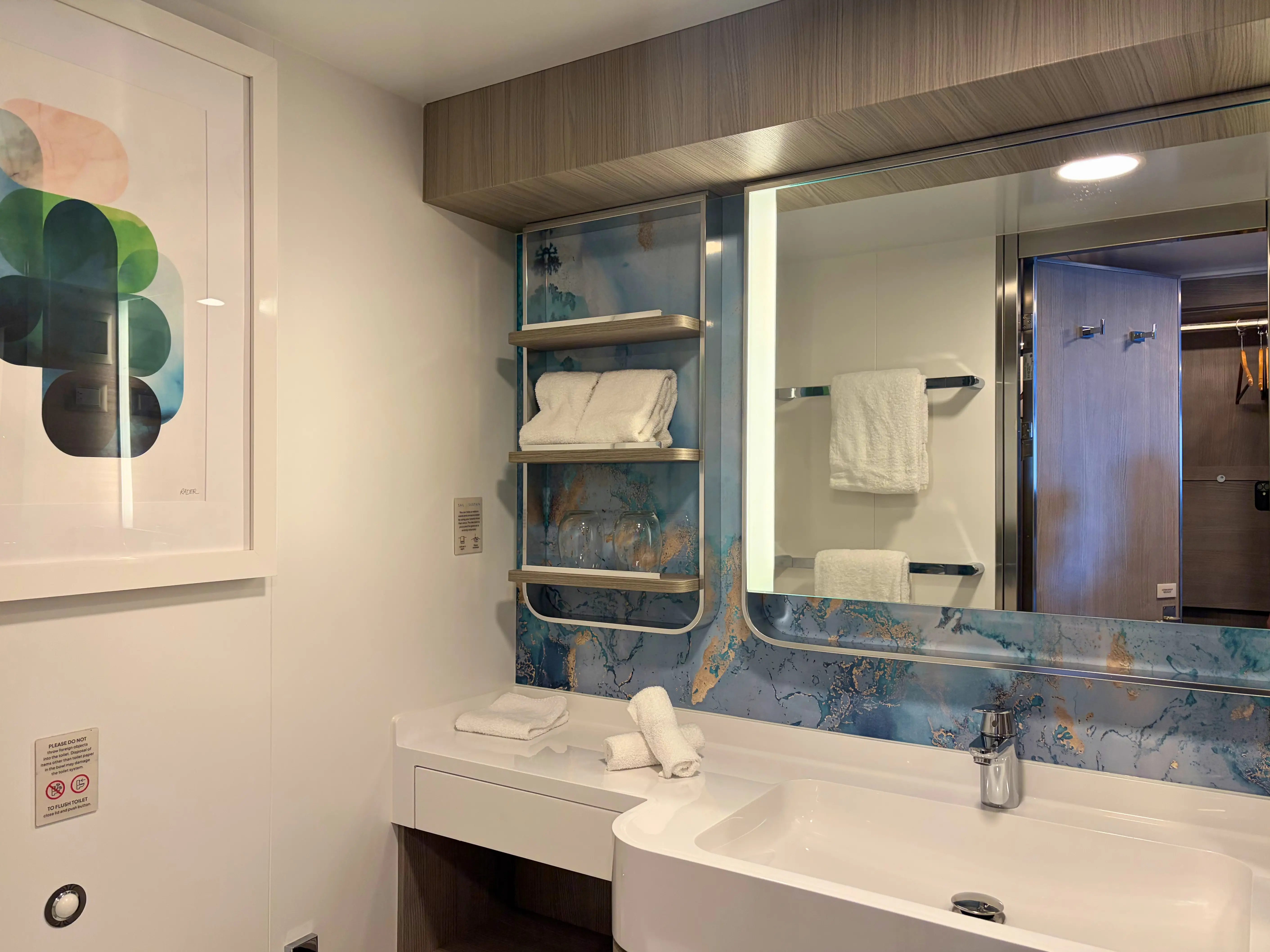 Bathroomwith large sink, shelving  in room on Norwegian Luna