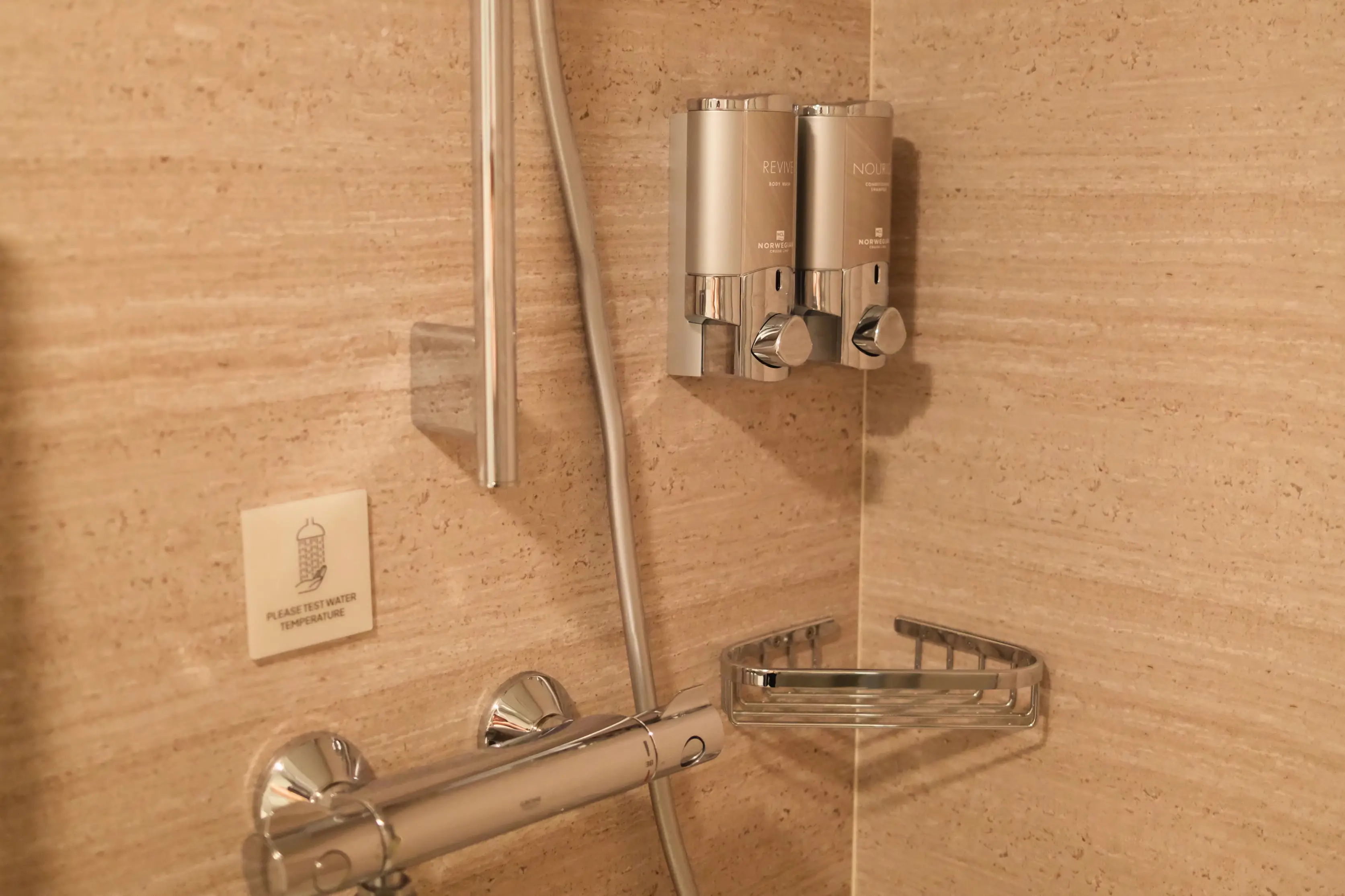 Shampoo and soap dispensers in shower