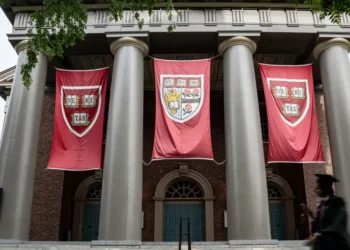 Ivy League admission decisions have been released. As a college admissions expert, here’s what surprised me most.