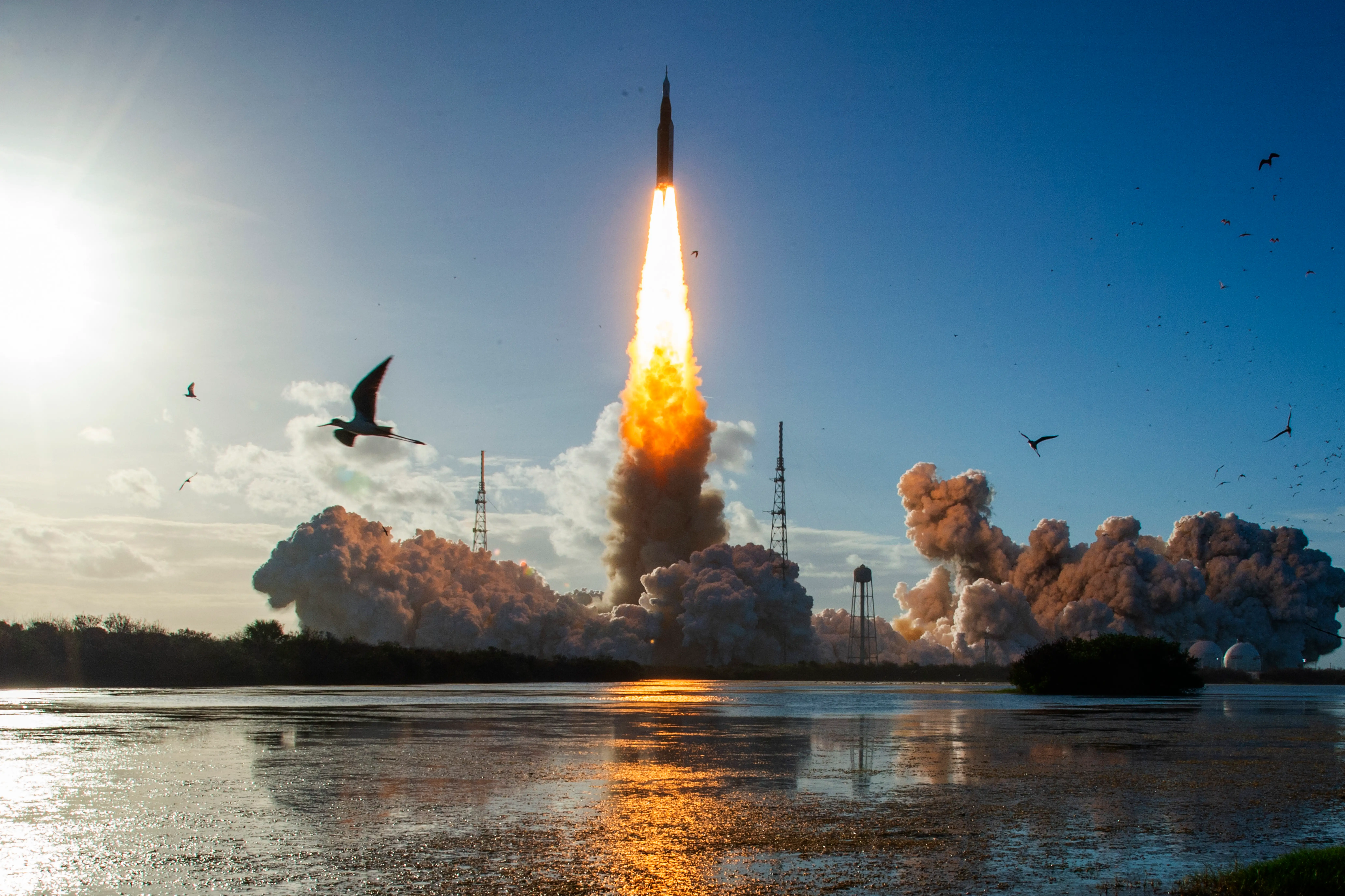 A space rocket launches with birds and water in the foreground.